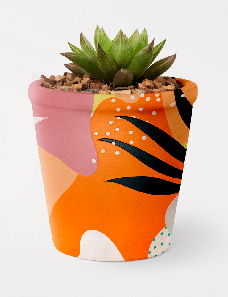 succulent-plant-memphis-pot